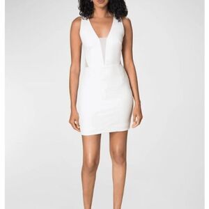 open lace back dress Dress the Population